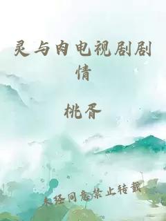 灵与肉电视剧剧情