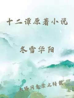 十二谭原著小说