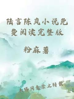 陆言陈岚小说免费阅读完整版
