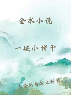 金水小说