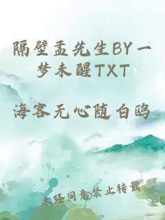隔壁孟先生BY一梦未醒TXT