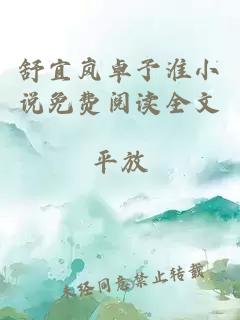 舒宜岚卓予淮小说免费阅读全文