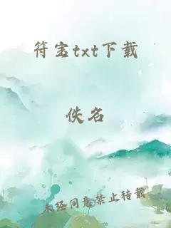 符宝txt下载