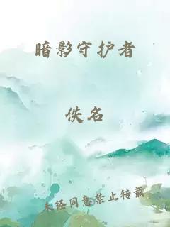 暗影守护者